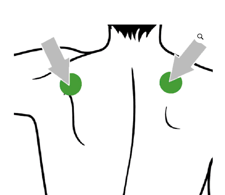 Kleur - Licht olie Green 30ml (Inge Cox)